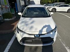 ����������紿�ޤǤ�������Ź���񤷤������ͤǤ�٤�����ʬ�ޤǤ����������褦��������Ȥ�Ǥ���ޤ������󥿡��ͥåȤ˷Ǻܤ���Ƥ��ʤ��ս�Ǥ���˾�����̤μ̿����������ޤ����餪���ڤˤ������դ��������� 2