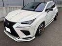 NX NX300 Fスポーツ AIMGAIN WORK21AW P.G.Dマッドホワイトフルラッピング エンボス加工 IDEALエアサス公認 SKIDRACING センターテールランプ 三眼フルLEDランプ 中古車画像_2