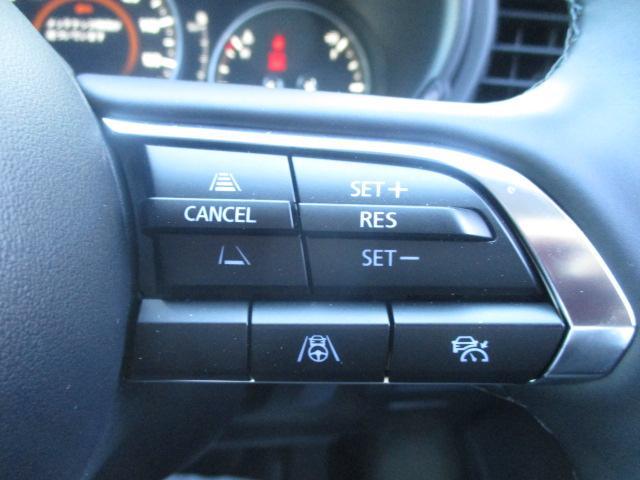 CX-30 20S ツーリング 20Sツーリング アンダーガーニッシュセット(フロント/サイド/リア) SDナビ 360°ビューモニター 衝突軽減ブレーキ レー(8枚目)