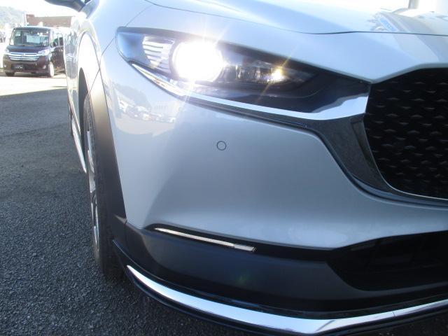 CX-30 20S ツーリング 20Sツーリング アンダーガーニッシュセット(フロント/サイド/リア) SDナビ 360°ビューモニター 衝突軽減ブレーキ レー(18枚目)