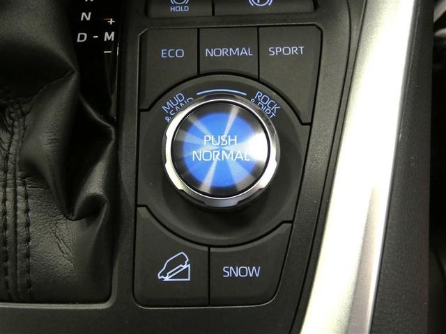 ＲＡＶ４ Ｇ　Ｚパッケージ　衝突被害軽減システム　メモリーナビ　フルセグ　バックカメラ　ＤＶＤ再生　サンルーフ　４ＷＤ　スマートキー　ＥＴＣ　ＬＥＤヘッドランプ　オートクルーズコントロール　ワンオーナー　アルミホイール（16枚目）