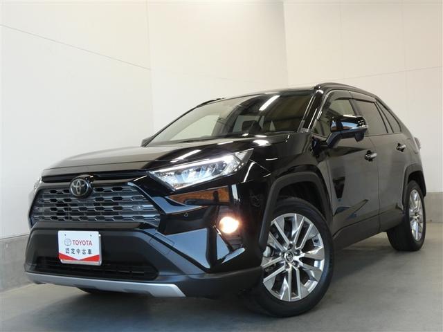 ＲＡＶ４ Ｇ　Ｚパッケージ　衝突被害軽減システム　メモリーナビ　フルセグ　バックカメラ　ＤＶＤ再生　サンルーフ　４ＷＤ　スマートキー　ＥＴＣ　ＬＥＤヘッドランプ　オートクルーズコントロール　ワンオーナー　アルミホイール（28枚目）