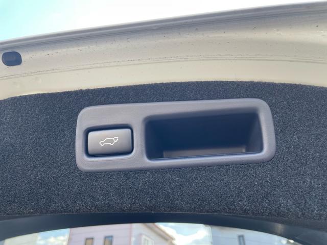 ハリアー プレミアム グー保証1年/ワンオーナー/禁煙車/純正9インチナビ/モデリスタエアロ/パワーバックドア/プリクラッシュセーフティ/レーダークルーズ/バックカメラ/ETC/ハーフレザーシート/LEDヘッドライト(41枚目)