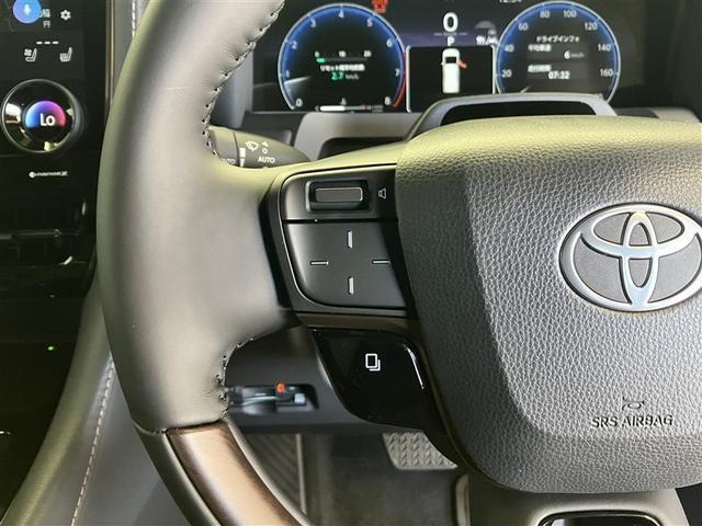 アルファード Ｚ　雹害　純正ナビ　フルセグ　両側パワースライドドア　デジタルインナーミラー　シートヒーター／ベンチレーター　アドバンストパーク　ステアリングヒーター　スペアタイヤ　左右独立ムーンルーフ　ＴＳＳ　ＰＶＭ（31枚目）