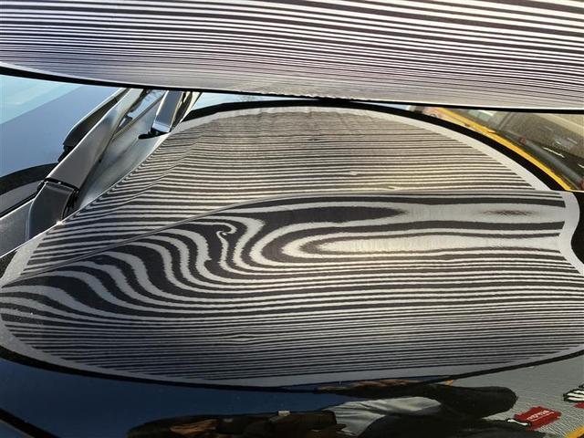 主にボンネットとルーフに、１ｃｍ〜５ｃｍほどのへこみが複数ある車両となっております。