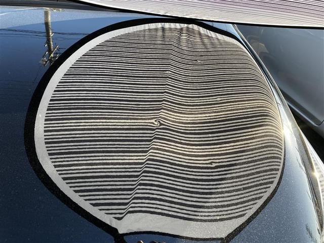 主にボンネットとルーフに、１ｃｍ〜５ｃｍほどのへこみが複数ある車両となっております。