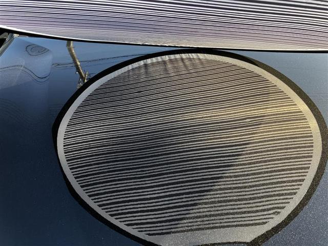 主にボンネットとルーフに、１ｃｍ〜５ｃｍほどのへこみが複数ある車両となっております。