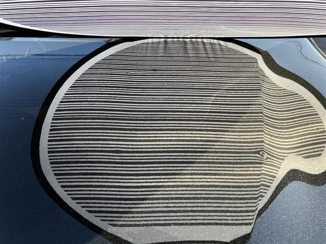 主にボンネットとルーフに、１ｃｍ〜５ｃｍほどのへこみが複数ある車両となっております。