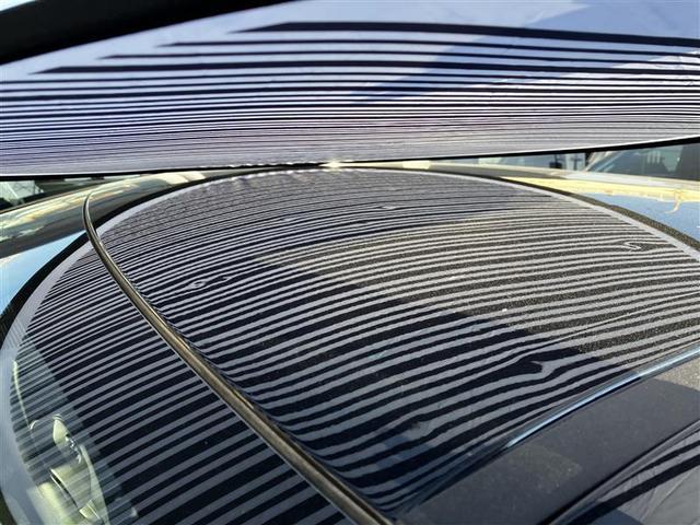 主にボンネットとルーフに、１ｃｍ〜５ｃｍほどのへこみが複数ある車両となっております。