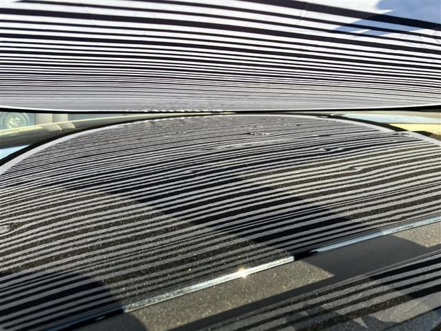 主にボンネットとルーフに、１ｃｍ〜５ｃｍほどのへこみが複数ある車両となっております。