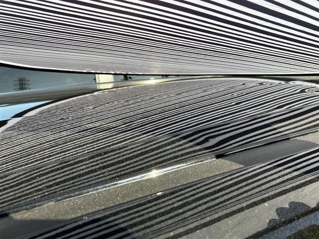 主にボンネットとルーフに、１ｃｍ〜５ｃｍほどのへこみが複数ある車両となっております。