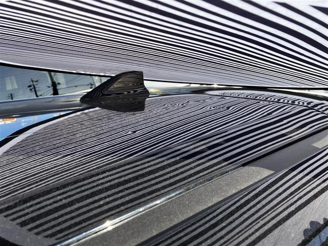 主にボンネットとルーフに、１ｃｍ〜５ｃｍほどのへこみが複数ある車両となっております。