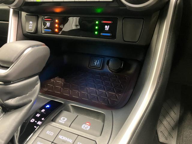 RAV4 G ヒョウ害 TSS 純正ディスプレイオーディオナビ パノラミックビューモニター ブラインドスポットモニター デジタルインナーミラー 寒冷地仕様 スペアタイヤ フルセグ シートヒーター/ベンチレータ 雹害(22枚目)