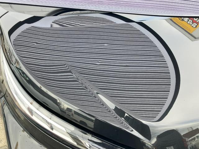 �{���l�b�g�P�����`�T�����قǂ̂ւ��݂���������ԗ��ƂȂ��Ă���܂��B