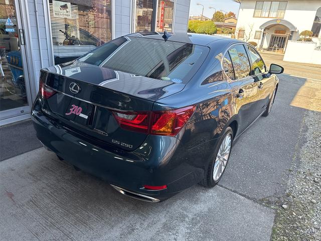 ＧＳ ＧＳ２５０　バージョンＬ（6枚目）