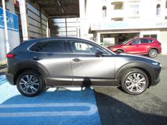 ܥͥåȤ롼դˤƤΥ饤Ǥ͡ 3