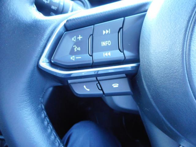 CX-3 15S ツーリング 15S ツーリング 衝突軽減ブレーキ マツダコネクトナビSD 360度ビューモニター ETC フルセグ CD DVD アドバン(15枚目)