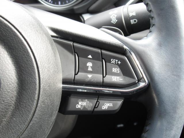 ＣＸ－８ ２５Ｓ　プロアクティブ　２５Ｓ　ＰＲＯＡＣＴＩＶＥ（6枚目）
