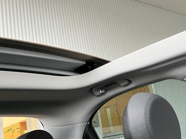 ５００Ｘ ブレッザ　１００台限定車　電動開閉式ベージュソフトトップ　純正ディスプレーオーディオ　バックカメラ　ＥＴＣ（28枚目）