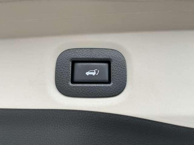 エクストレイル ２．０　２０Ｘｉ　２列車　プロパイロット　全方位カメラ　ＬＥＤヘットライト　Ｒカメラ　インテリキー　レーンキープアシスト　ＥＴＣ　ドライブレコーダー　記録簿　キーフリー　１オーナー　ＴＶナビ　オートエアコン　アルミホイール　メモリーナビ　ＡＢＳ　エアバッグ（16枚目）
