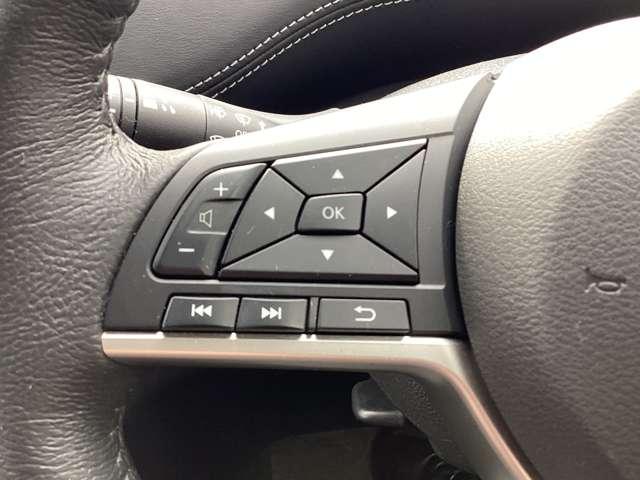 セレナ ２．０　セレクションＩＩ　バックモニタ　全周囲モニタ　アイスト　Ｐアシスト　インテリキー　ＬＥＤライト　ＥＴＣ車載器　オートクルーズコントロール　サイドエアバッグ　ドライブレコーダー　メモリ－ナビ　アルミ　ＴＶナビ　エアバック（10枚目）