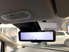 �ڥ���ƥꥸ����ȥ롼��ߥ顼�۸��ʤ��礭�ʲ�ʪ��Ʊ��ԤǸ�������ǧ���Ť餤���Ǥ�¿�������餬���Ƥ�����ξ�����α�����롼��ߥ顼���ɽ�������ꥢ�ʻ볦�Ǿ����γ�ǧ����ǽ�Ǥ��� 7