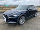 ＣＸ－３０ ２０Ｓ　純正ナビ　地デジ　バックカメラ　レーダークルーズコントロール　クリアランスソナー　純正１８インチＡＷ　スマートキー　プッシュスタート　ＥＴＣ（3枚目）