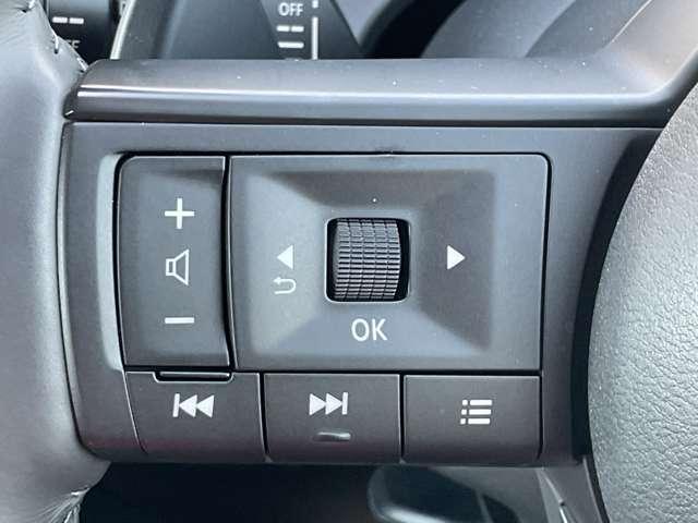 セレナ 2.0ハイウェイスターV アラウンドビューモニター W電動スライド レーダークルコン レーンアシスト LEDランプ 盗難防止システム ETC装備 カーテンエアバッグ アルミホイール キーフリー メモリ-ナビ ナビTV エアコン ドラレコ ワンセグTV(18枚目)