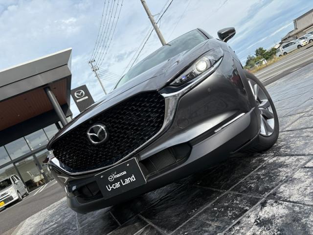 ＣＸ－３０ ２０Ｓ　ツーリング　２０Ｓツーリング　ｅ－ＳＫＹＡＣＴＩＶ－Ｇ・マツダコネクト・コネクティッドサービス・ナビＳＤカード・３６０°ビューモニター・運転（5枚目）