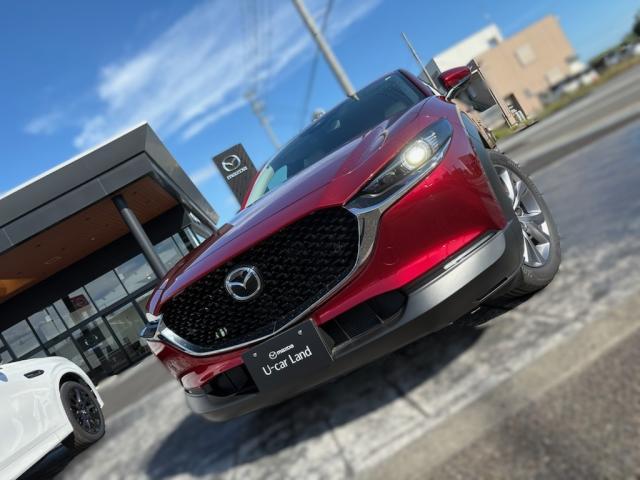 ＣＸ－３０ ２０Ｓ　ツーリング　２０Ｓツーリング　ホワイトレザーＰＫＧｅ－ＳＫＹＡＣＴＩＶ－Ｇ・マツダコネクト・コネクティッドサービス・ナビＳＤカード・３６０°（5枚目）