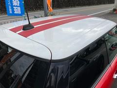 ͣɣΣ ѡǥ顼֡ϥɥ롡ǥҳݡ֥ʥ 0600775A30251111W001 2