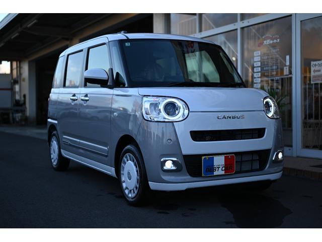 ムーヴキャンバス ストライプスＧ（2枚目）