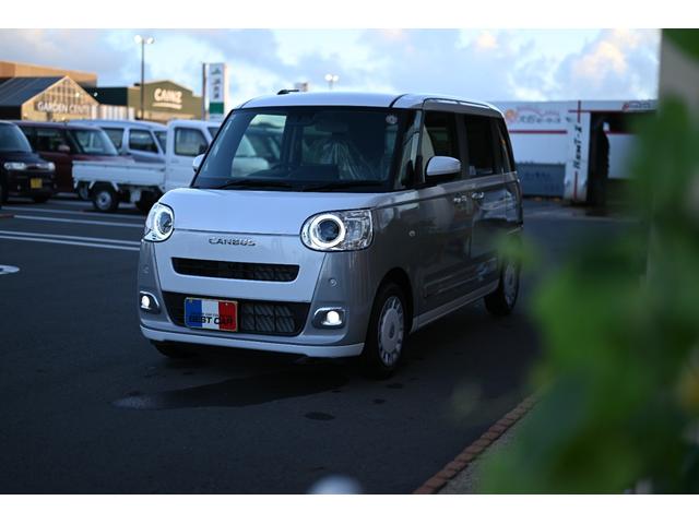 ムーヴキャンバス ストライプスＧ（3枚目）