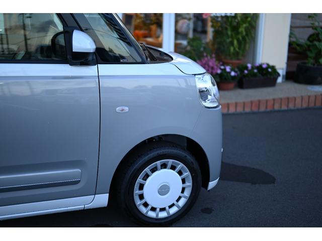 ムーヴキャンバス ストライプスＧ（26枚目）