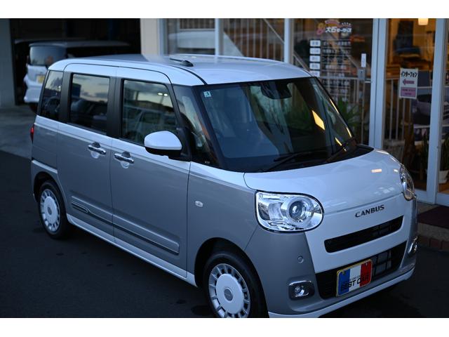 ムーヴキャンバス ストライプスＧ（28枚目）