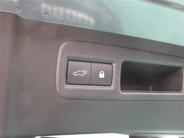 NX NX300h スパイス&シック LEDヘッドライト オートクルーズコントロール 地デジ 記録簿 Pシート AAC 横滑り防止装置 ETC ナビTV バックカメラ DVD再生 アルミホイール メモリーナビ スマートキー(19枚目)