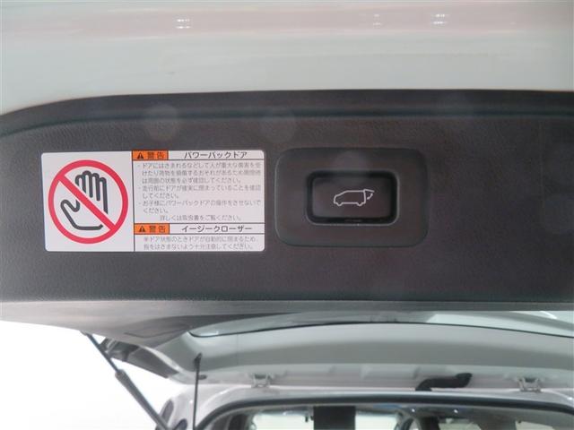 ヴェルファイア 2.5Z Gエディション ハーフレーザー 後カメラ WSR フルセグテレビ パワーシート スマキー クルーズコントロール ETC装備 助手席エアバック 運転席エアバッグ ドラレコ付き アルミホイール カーテンエアバック 記録簿(24枚目)