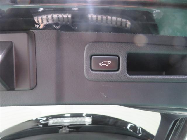 �X�C�b�`���삾���ŊJ����u�p���[�o�b�N�h�A�v�𓋍ځB