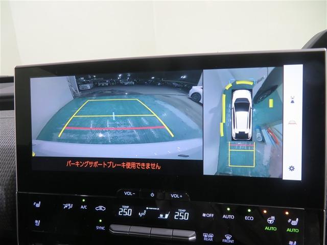 �p�m���~�b�N�r���[���j�^�[���ځB�J�����Ŏԗ����͂̏󋵂��f���o�����߁A�����ꏊ�ł̒��ԂȂǂɖ𗧂��܂��B