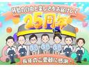 Ｚ　サイドＳＲＳ　ＡＡＣ　バックモニタ　スマキー　横滑防止装置　地デジ　キーフリー　ＬＥＤランプ　パワーウインドウ　定期点検記録簿　助手席エアバック　クルコン　エアバッグ　パワーステアリング　ＥＴＣ（21枚目）