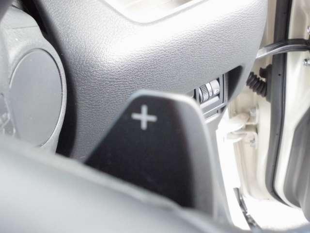 デリカミニ Ｔ　プレミアム（15枚目）