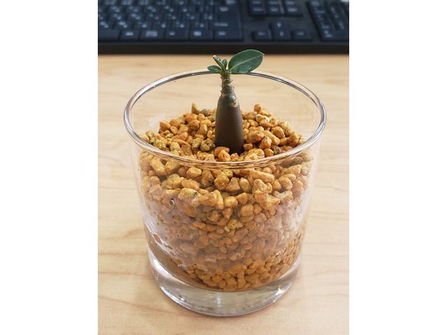 アルト ＶＰ　キーレスエントリー　ＡＴ　盗難防止システム　アルミホイール　衝突安全ボディ　エアコン　パワーステアリング　走行距離１４，９２８ｋｍ（78枚目）