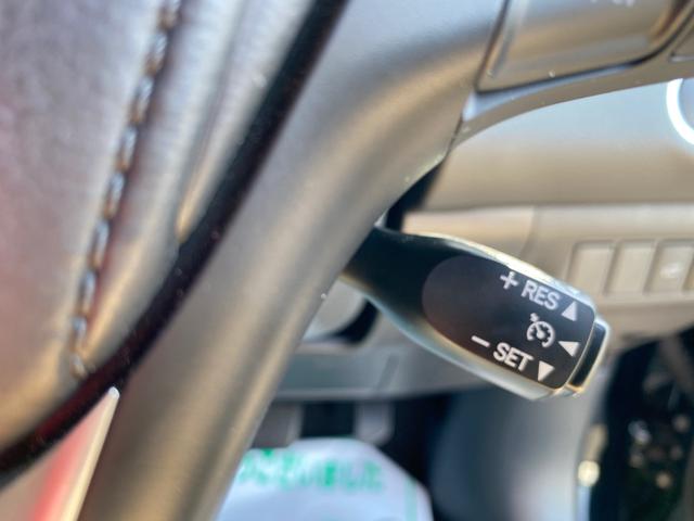 プレミアム スタイルモーヴ アルパイン9インチナビ バックアイカメラ RAYS20AW TEIN車高調 ドライブレコーダー モデリスタフルエアロ(25枚目)
