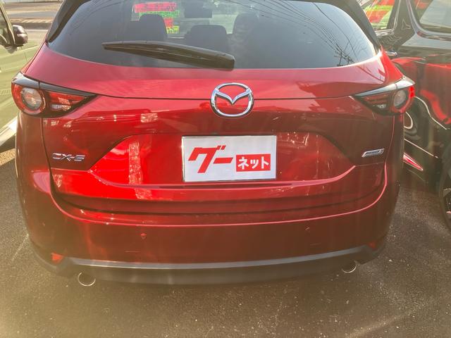 ＣＸ－５ ＸＤ　プロアクティブ　アクティブドライビングディスプレイ　ＢＯＳＥサウンド　ナビフルセグＴＶ　ＤＶＤ　ブルートゥース　ＵＳＢ　アドバンスＳＣＢＳ　バックカメラ　ＥＴＣ　キーフリー　純正アルミ（13枚目）