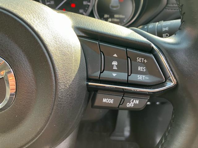 ＣＸ－５ ＸＤ　プロアクティブ　アクティブドライビングディスプレイ　ＢＯＳＥサウンド　ナビフルセグＴＶ　ＤＶＤ　ブルートゥース　ＵＳＢ　アドバンスＳＣＢＳ　バックカメラ　ＥＴＣ　キーフリー　純正アルミ（36枚目）