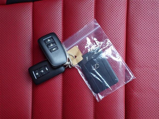 RX RX300 Fスポーツ 衝突被害軽減システム メモリーナビ フルセグ バックカメラ DVD再生 ミュージックプレイヤー接続可 ドラレコ サンルーフ フルエアロ スマートキー ETC LEDヘッドランプ ワンオーナー 革シート(32枚目)