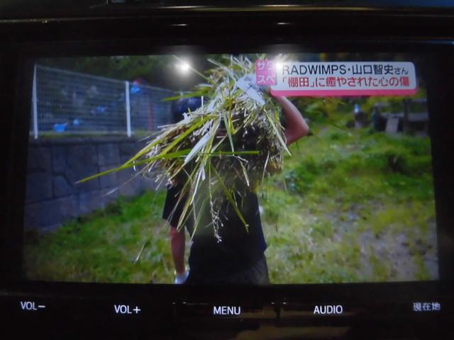 ヴェルファイアハイブリッド ZR(17枚目)