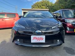 �ץꥦ�� �ӥġ���󥰥��쥯����� 0601270A30251125W001 2