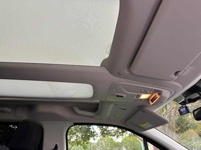 ベルランゴ サーフエディション・バイ・リップカール(36枚目)