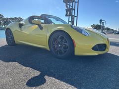 ���å��ѥ����� �١������졼�� 0601345A30251230W001 3